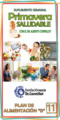 SUPLEMENTO SEMANAL PRIMAVERA PLAN B Nº 11